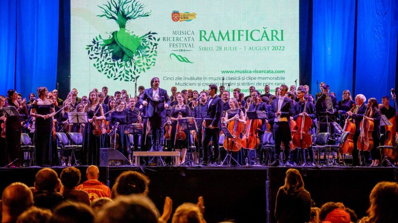 A Symphony of Peace and Connection